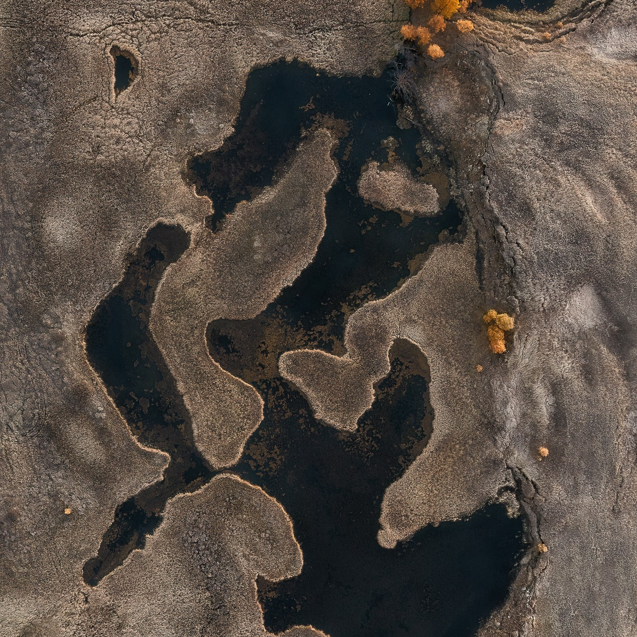 АЛТАЙ 2026. Фототуры и обучение пейзажной фотографии