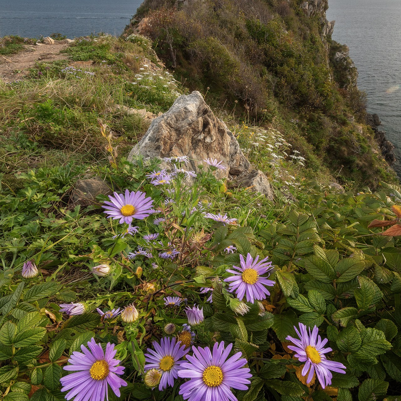 Фототур по Приморью. Фототуры и обучение пейзажной фотографии