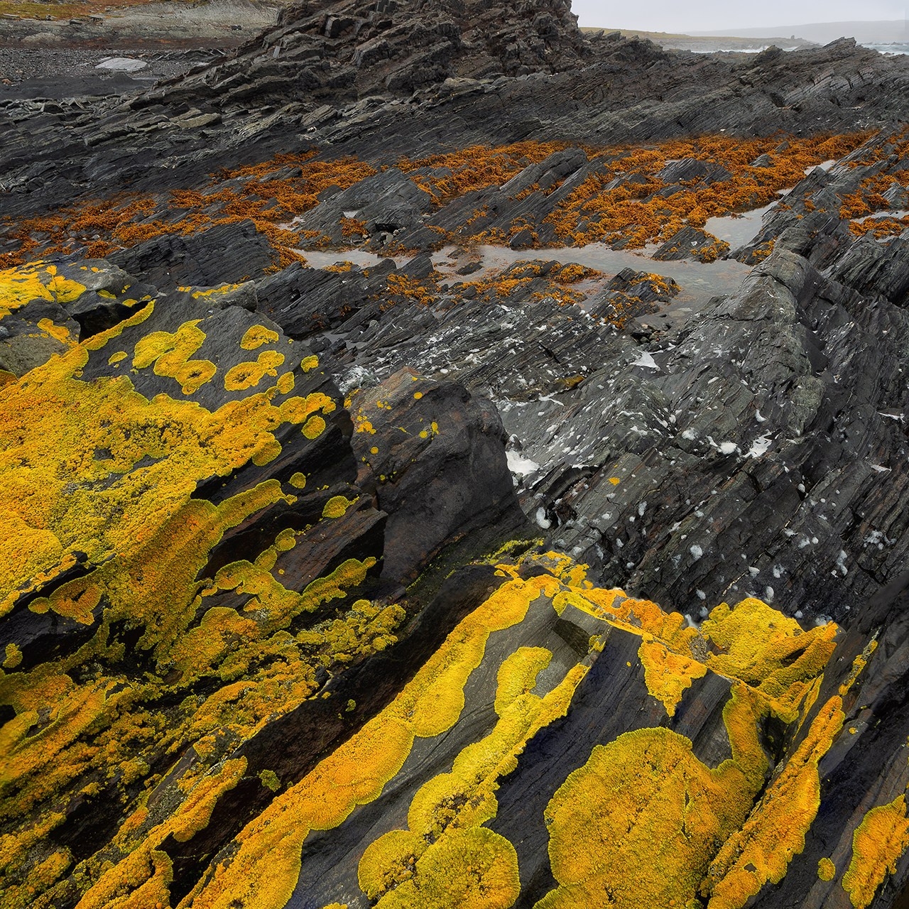 РЫБАЧИЙ 2025. Фототуры и обучение пейзажной фотографии