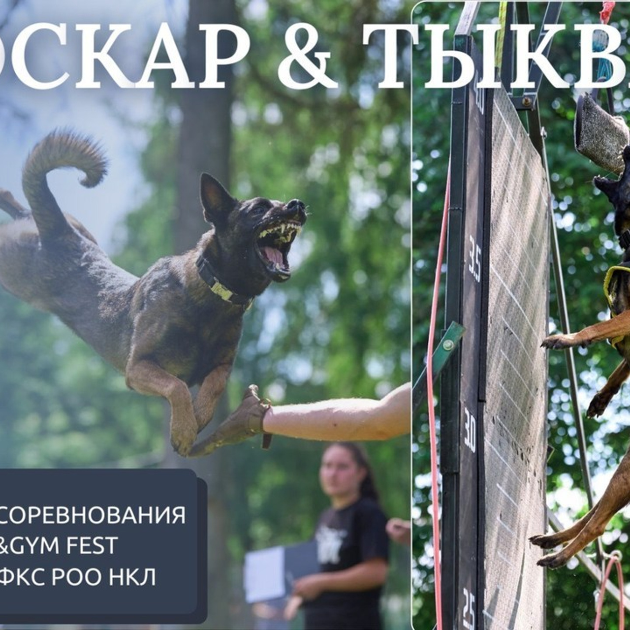 Отзывы на фотосессии съёмки. Фотограф Макс Огурцов в Нижнем Новгороде