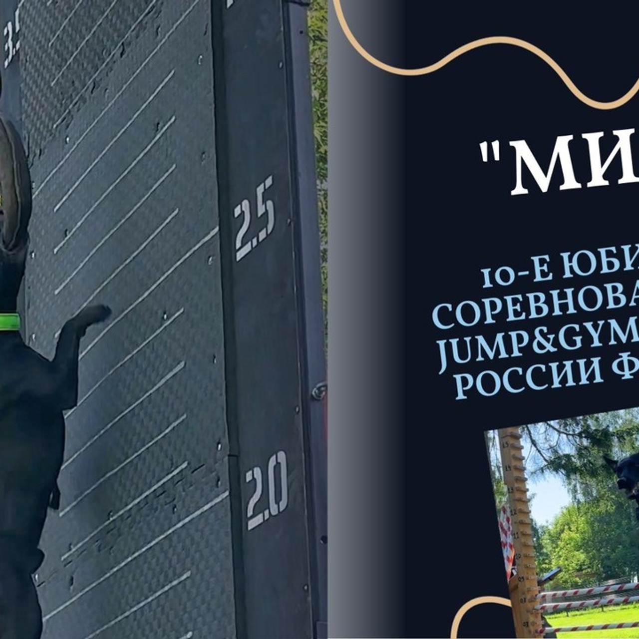 Отзывы на фотосессии съёмки. Фотограф Макс Огурцов в Нижнем Новгороде