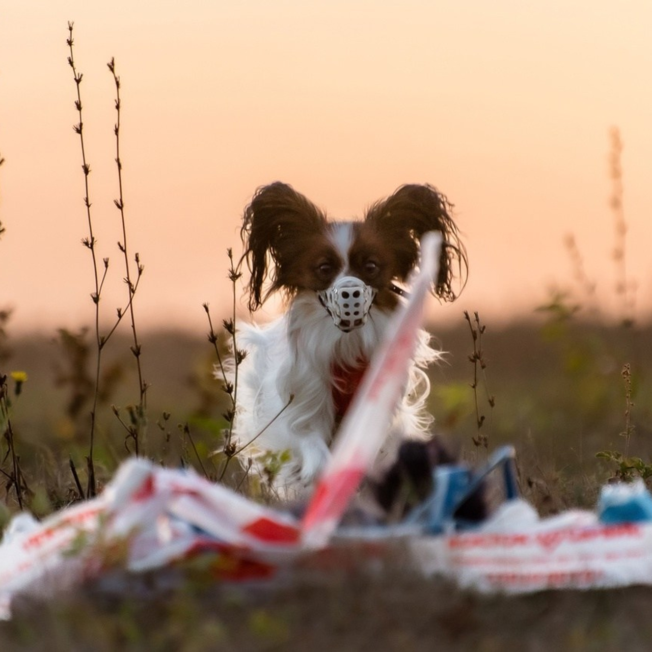 Отзывы на фотосессии съёмки. Фотограф Макс Огурцов в Нижнем Новгороде