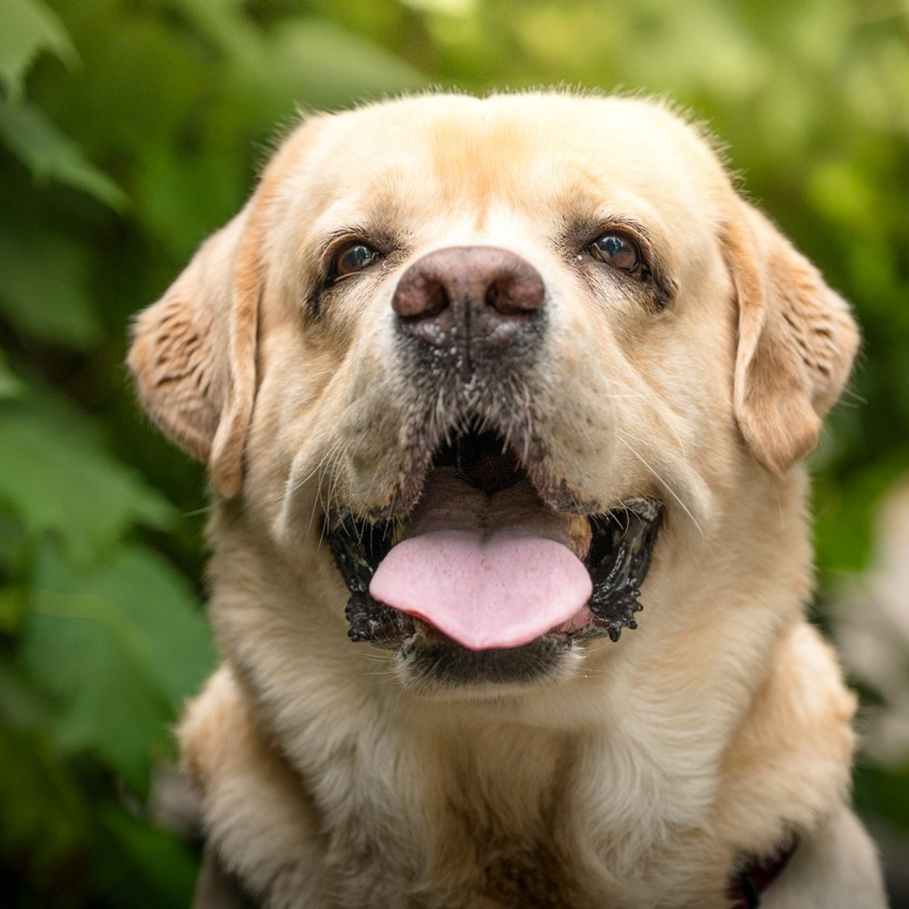 Отзывы на фотосессии съёмки. Фотограф Макс Огурцов в Нижнем Новгороде