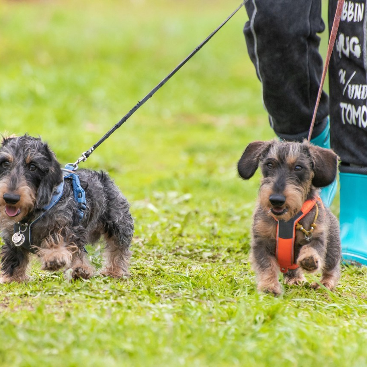 Отзывы на фотосессии съёмки. Фотограф Макс Огурцов в Нижнем Новгороде
