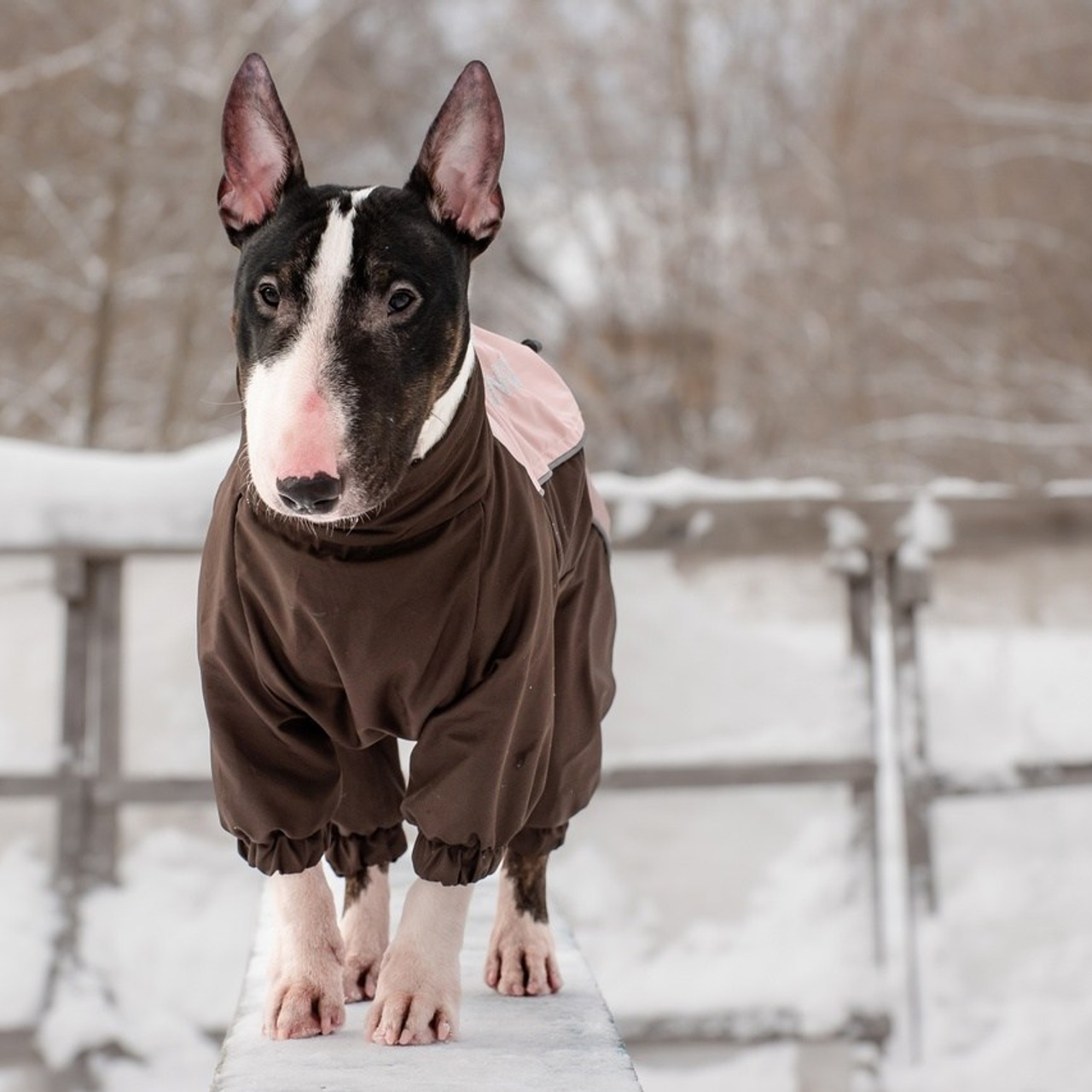 Отзывы на фотосессии съёмки. Фотограф Макс Огурцов в Нижнем Новгороде