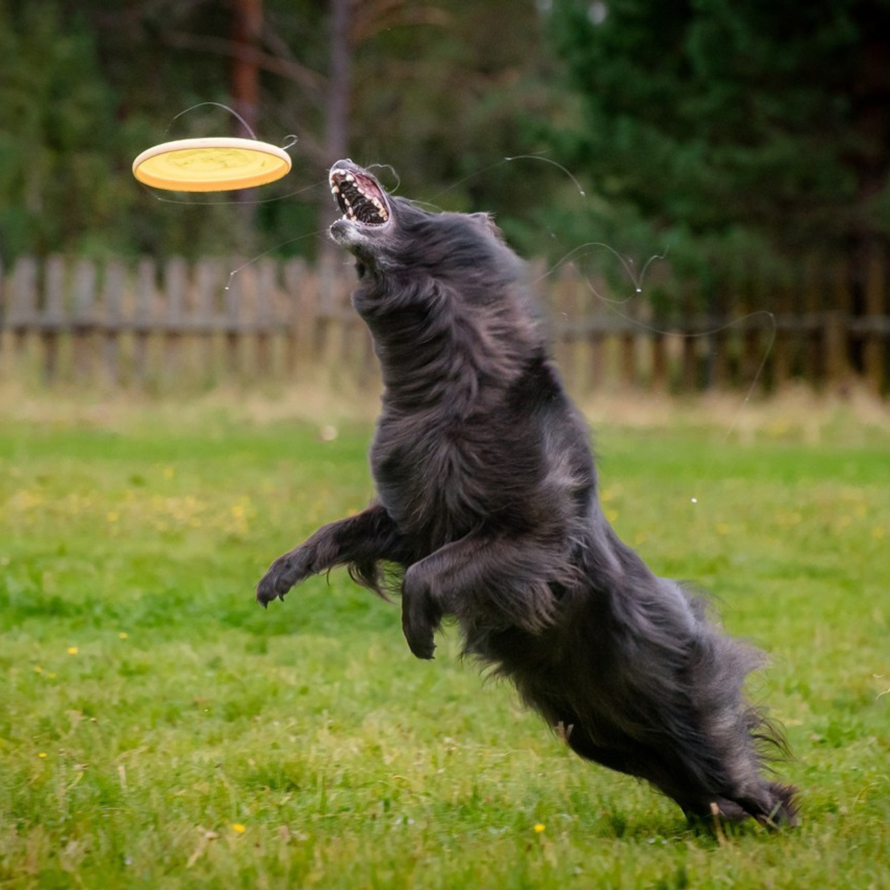Отзывы на фотосессии съёмки. Фотограф Макс Огурцов в Нижнем Новгороде