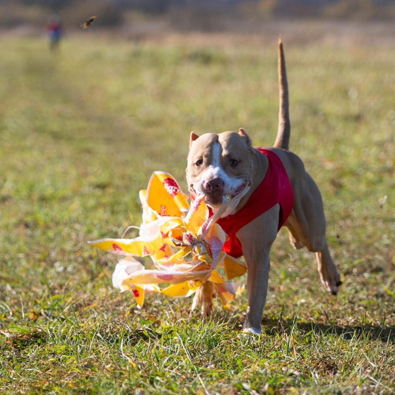 Отзывы на фотосессии съёмки. Фотограф Макс Огурцов в Нижнем Новгороде