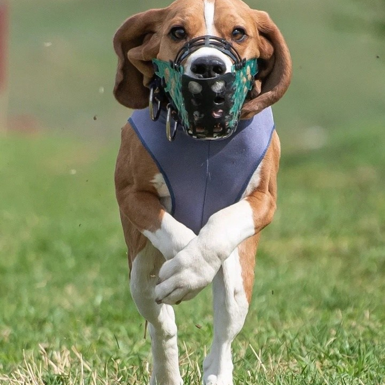Отзывы на фотосессии съёмки. Фотограф Макс Огурцов в Нижнем Новгороде