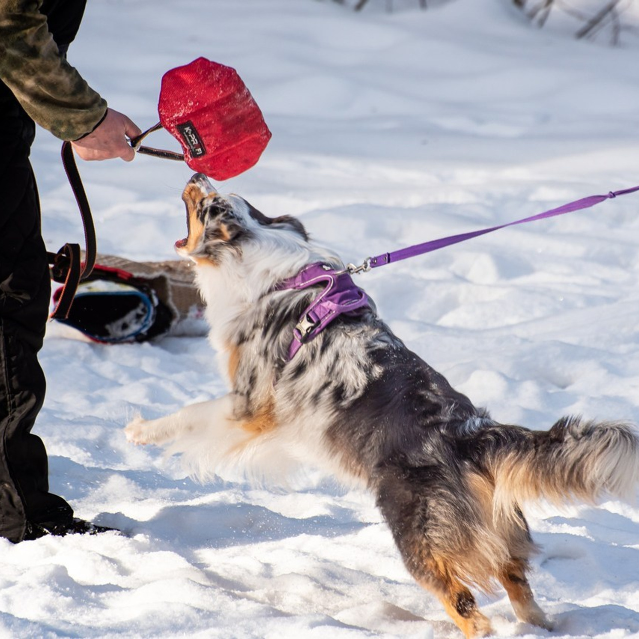 Отзывы на фотосессии съёмки. Фотограф Макс Огурцов в Нижнем Новгороде