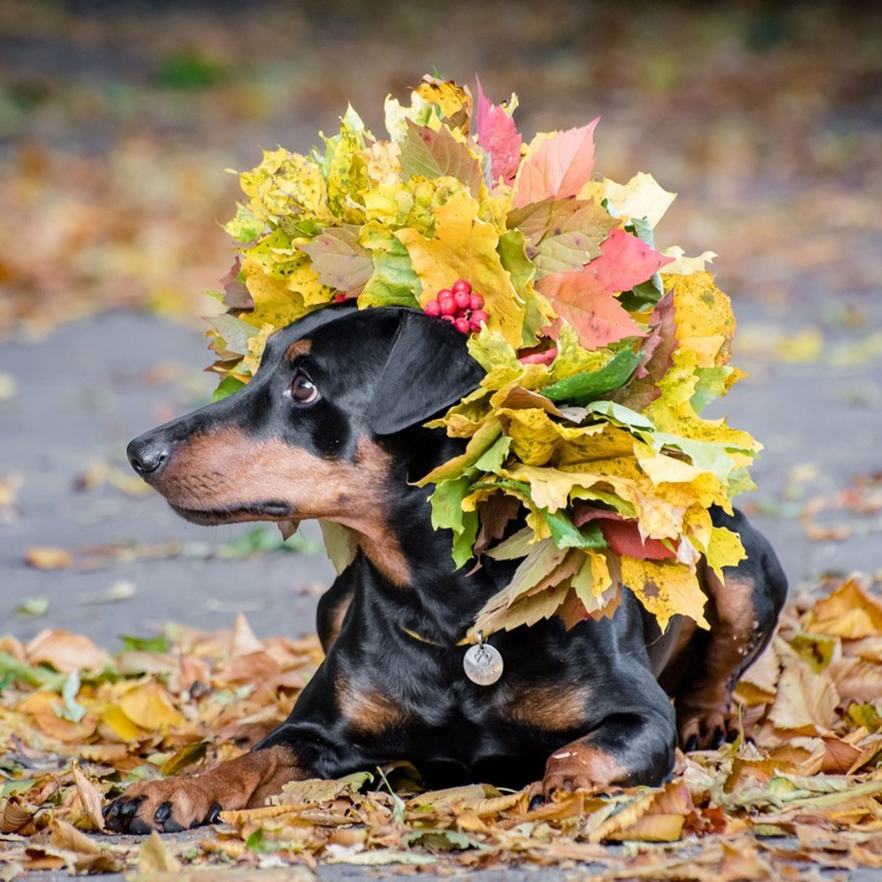 Отзывы на фотосессии съёмки. Фотограф Макс Огурцов в Нижнем Новгороде