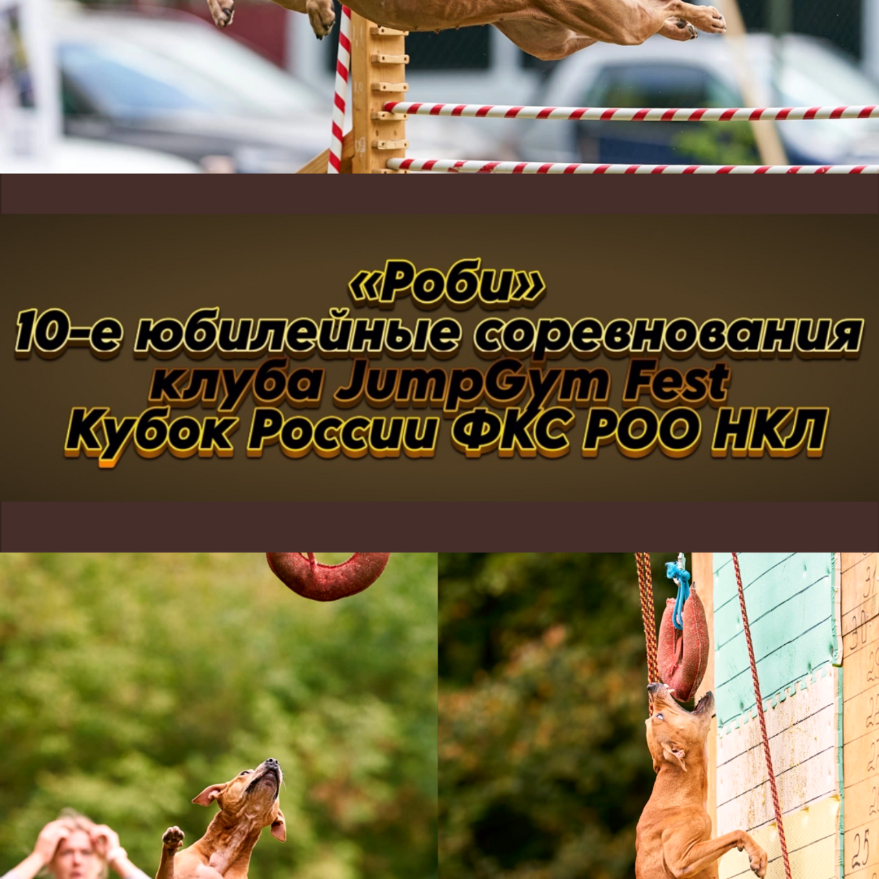 Отзывы на фотосессии съёмки. Фотограф Макс Огурцов в Нижнем Новгороде