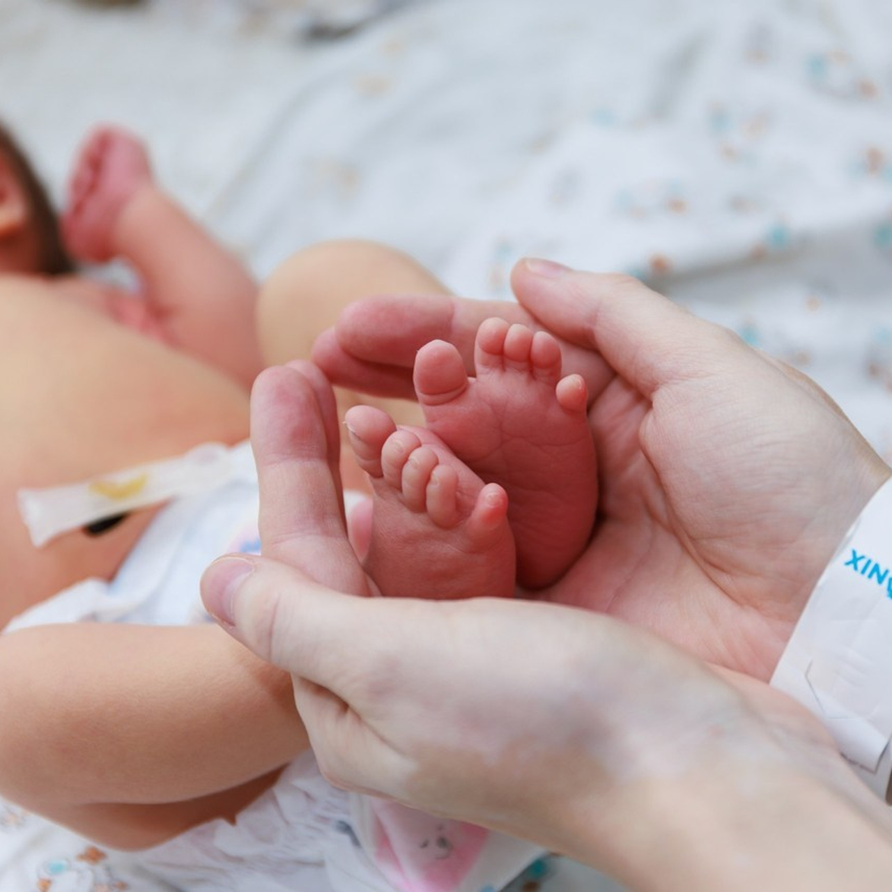 Отзывы о работе фотографа Халикова Валентина город Дмитров. Семейный фотограф в Дмитрове Валентина Халикова