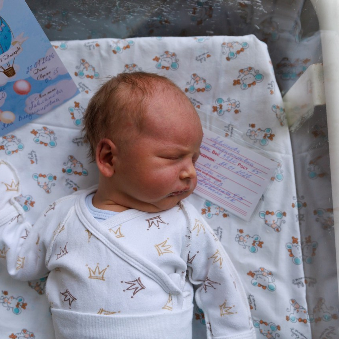 Отзывы о работе фотографа Халикова Валентина город Дмитров. Семейный фотограф в Дмитрове Валентина Халикова