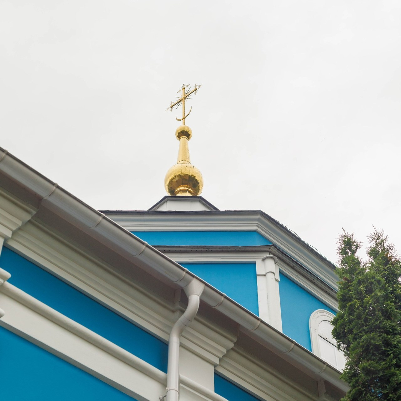 Отзывы о работе фотографа Халикова Валентина город Дмитров. Семейный фотограф в Дмитрове Валентина Халикова