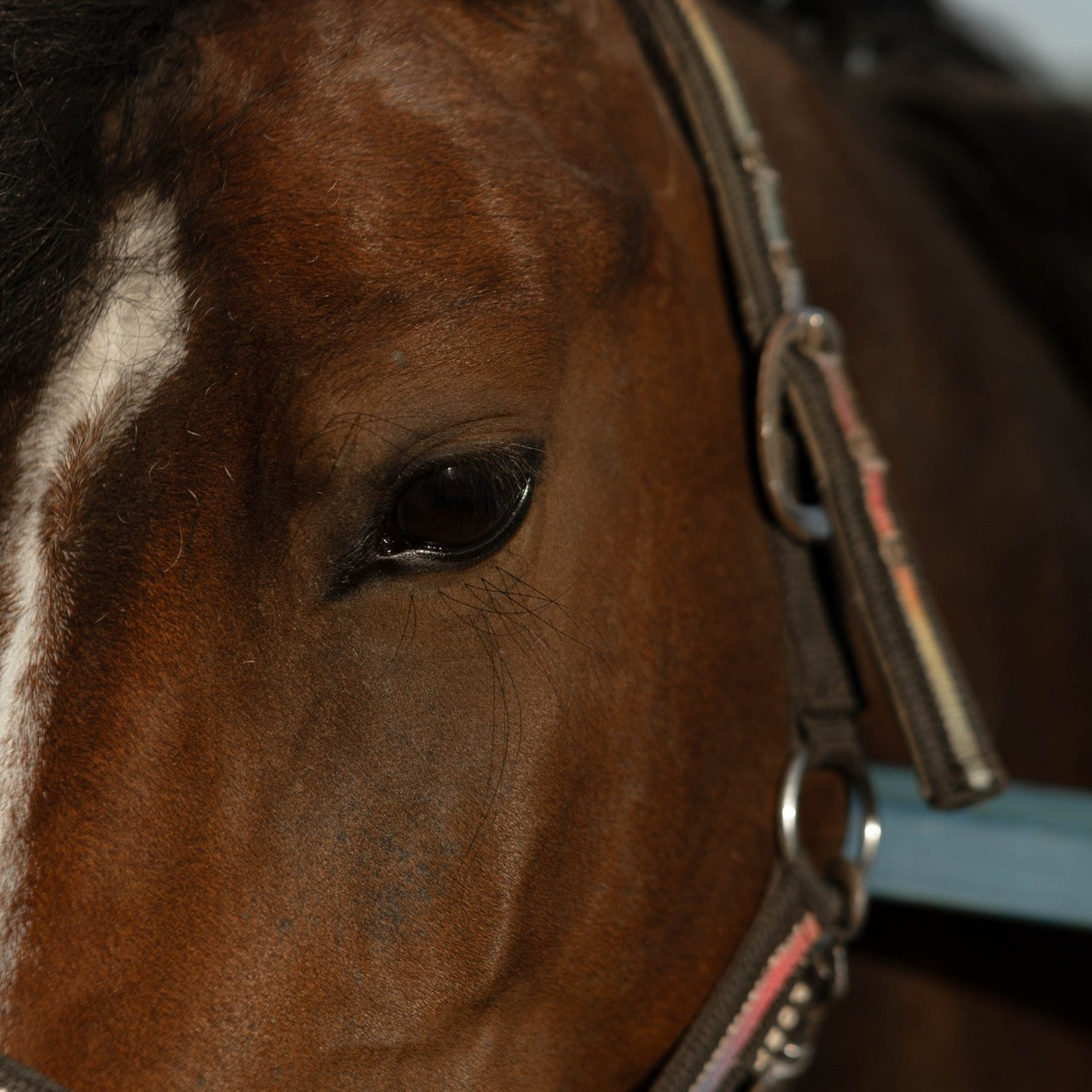 Отзывы о работе фотографа Татьяны Беловой. Фотограф Тверь | Татьяна Белова