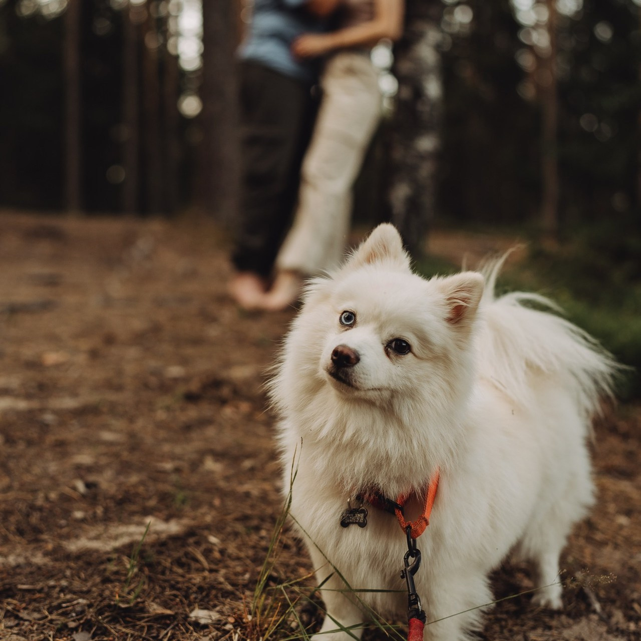 Отзывы. Фотограф в Санкт-Петербурге Алёна Никитина