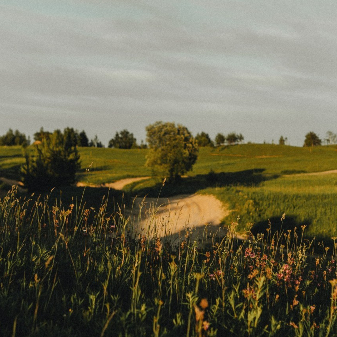 Отзывы. Фотограф в Санкт-Петербурге Алёна Никитина