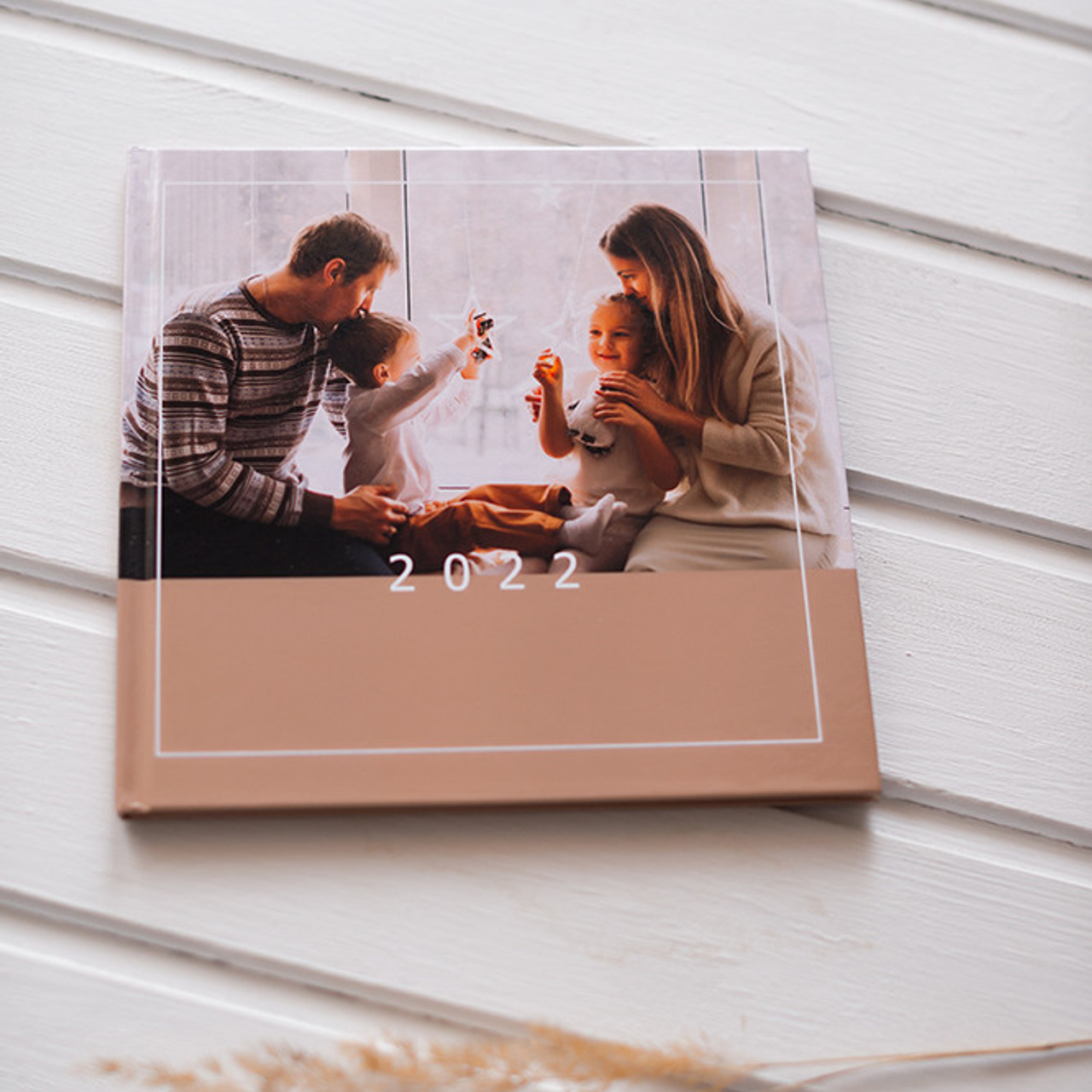 Тонкие страницы. Свадебный фотограф Алёна Замотаева