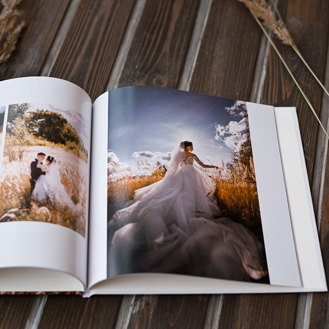 Тонкие страницы. Свадебный фотограф Алёна Замотаева