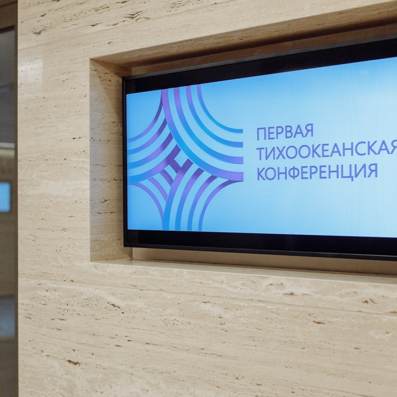Отзывы. Наташа Скрипка