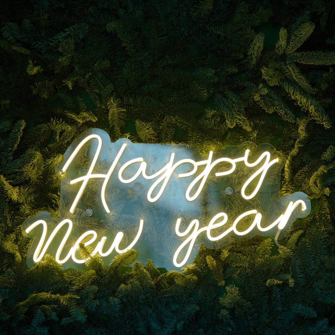 Отзывы. Свадебный фотограф Анна Бабахина