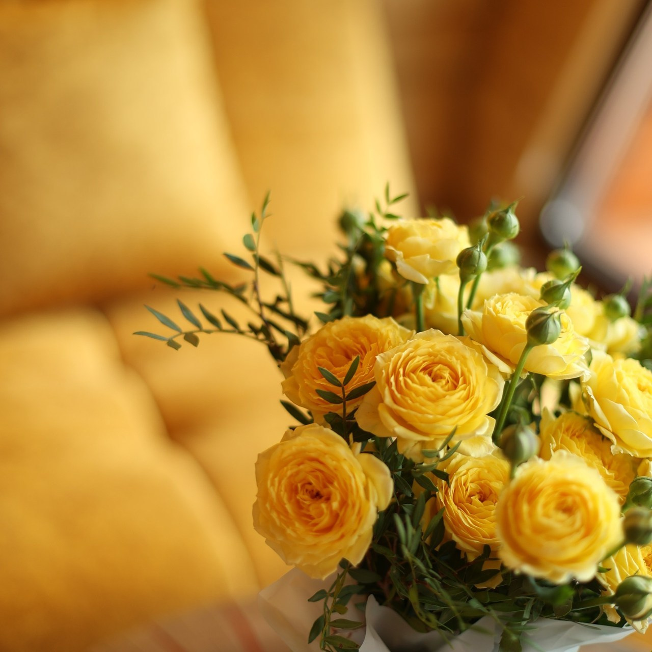 Отзывы. Фотограф в Краснодаре и на Алтае Мария Зорькина