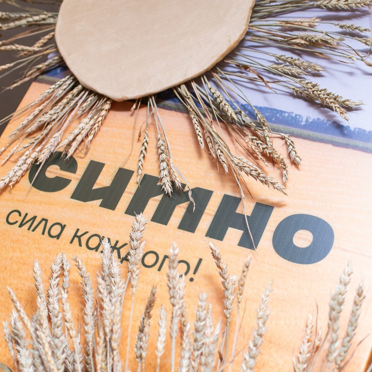 Отзывы. Спортивный и репортажный фотограф в Магнитогорске