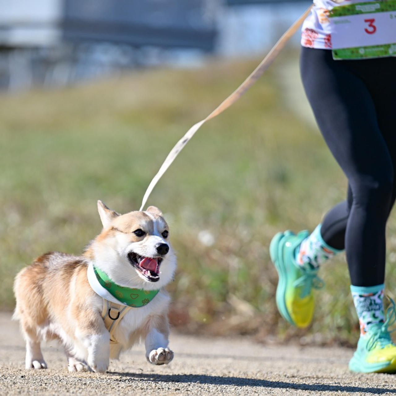 Отзывы. Спортивный и репортажный фотограф в Магнитогорске