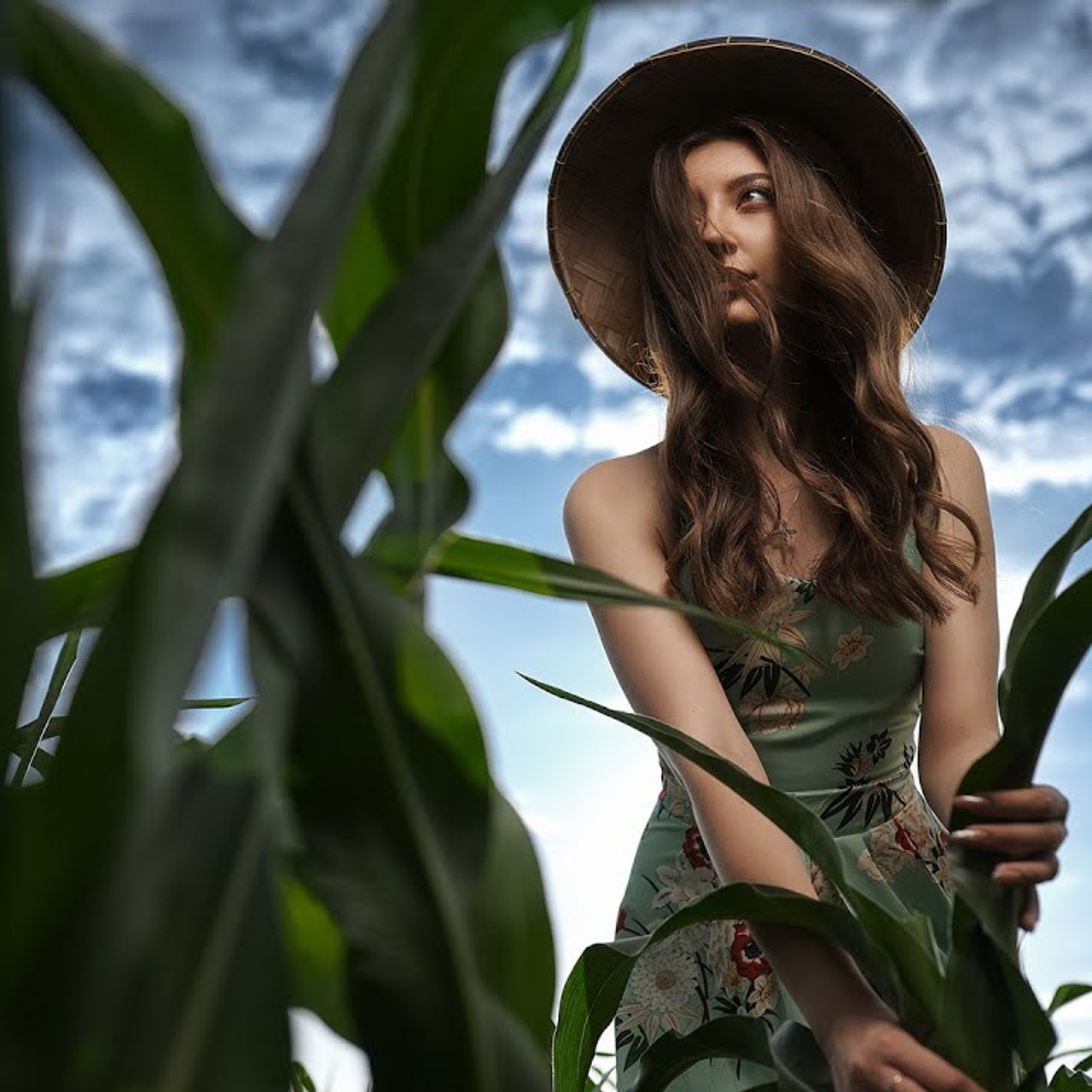 Видеоклипы