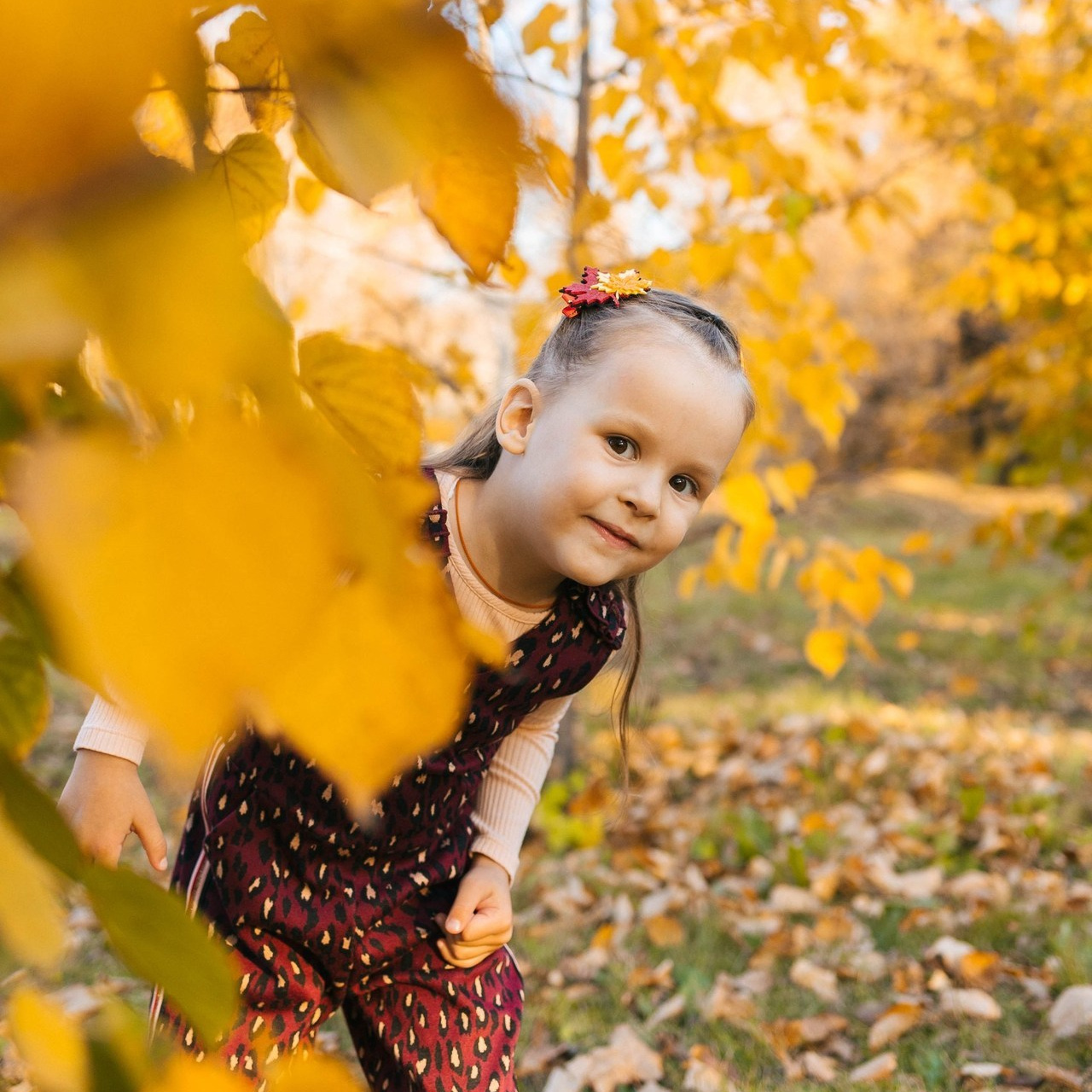 Отзывы. Услуги