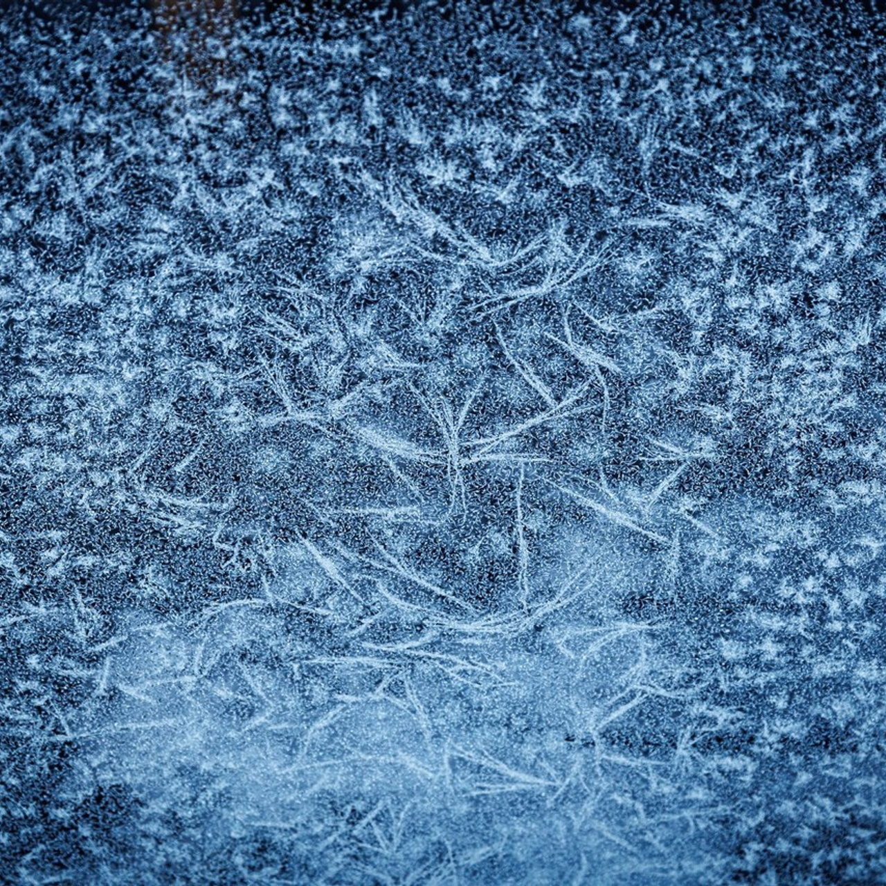 Отзывы. Фотограф в Петрозаводске Игорь Герасименко