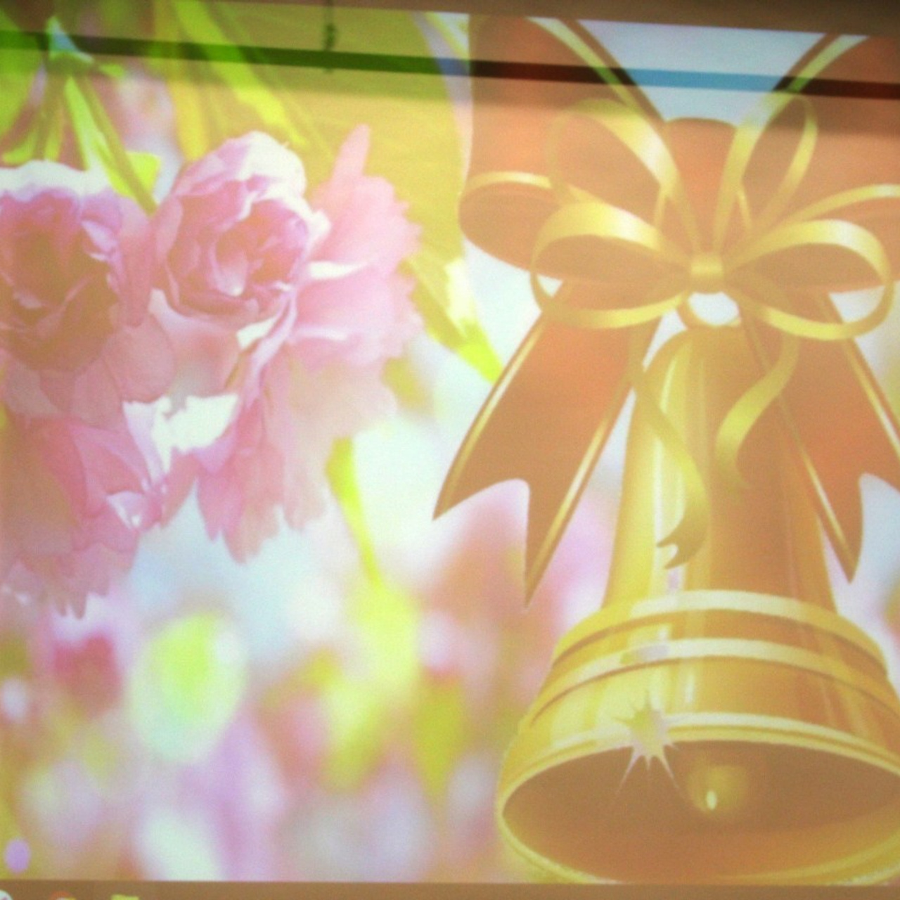 Отзывы. Портфолио