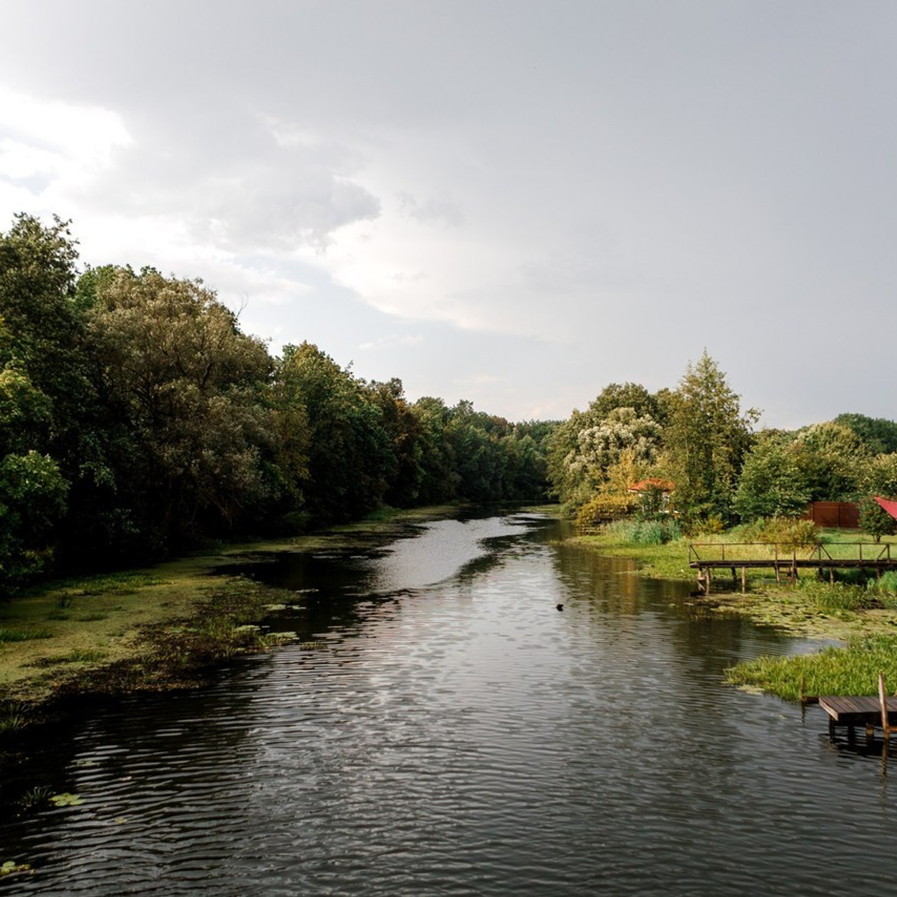 Отзывы. Свадебный и рекламный фотограф в Пензе Денис Деревянко