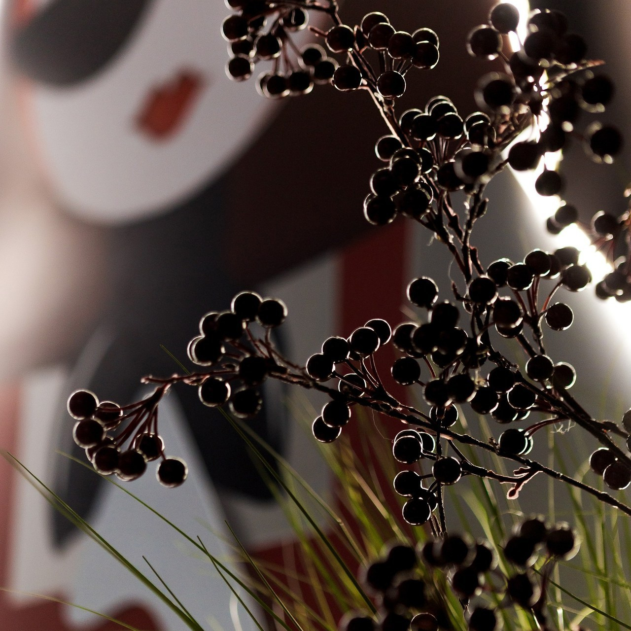 Отзывы. Свадебный и рекламный фотограф в Пензе Денис Деревянко