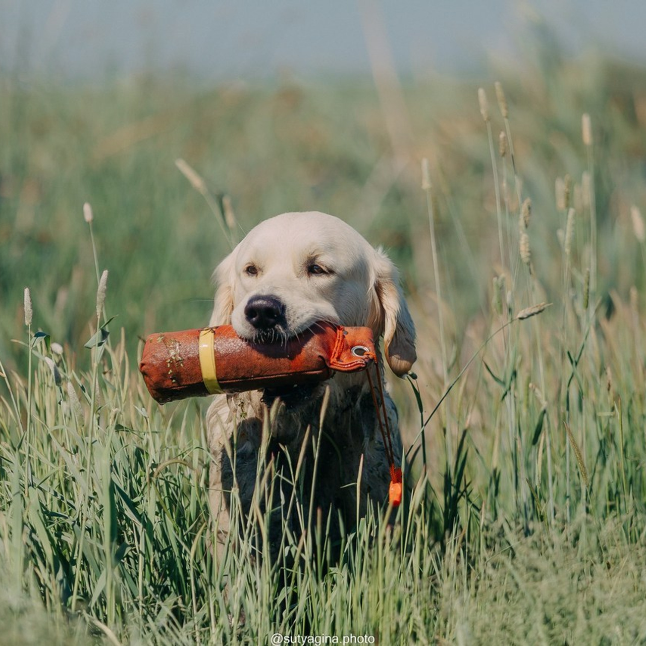Отзывы. Свадебный и женский фотограф