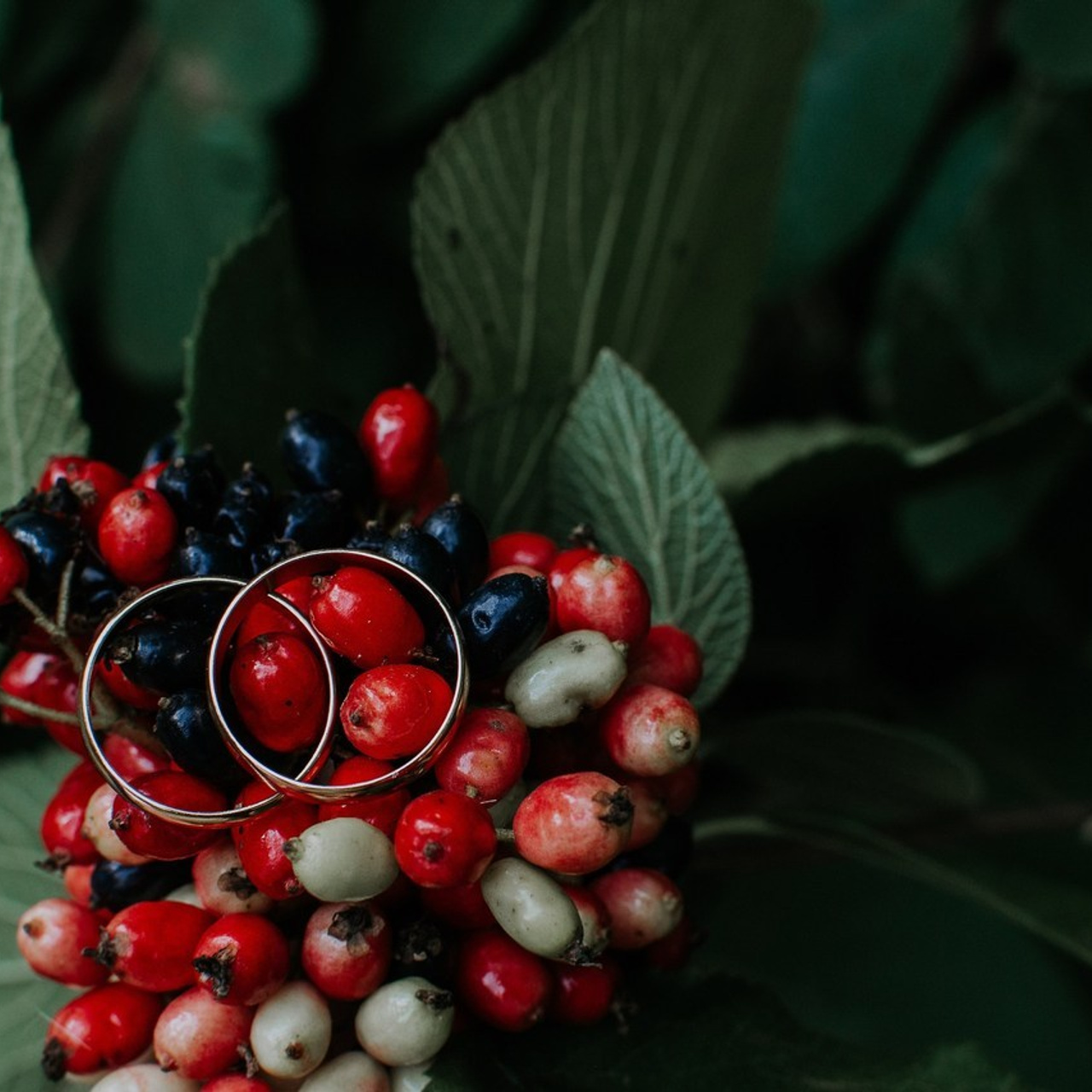 Отзывы. Семейный фотограф в Новомичуринске Наташа Непомнящая