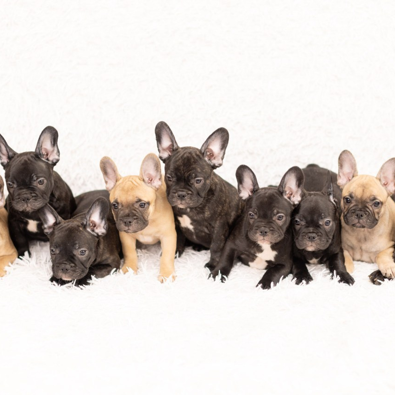 Отзывы. Фотограф Наталья Угрюмова, г. Москва