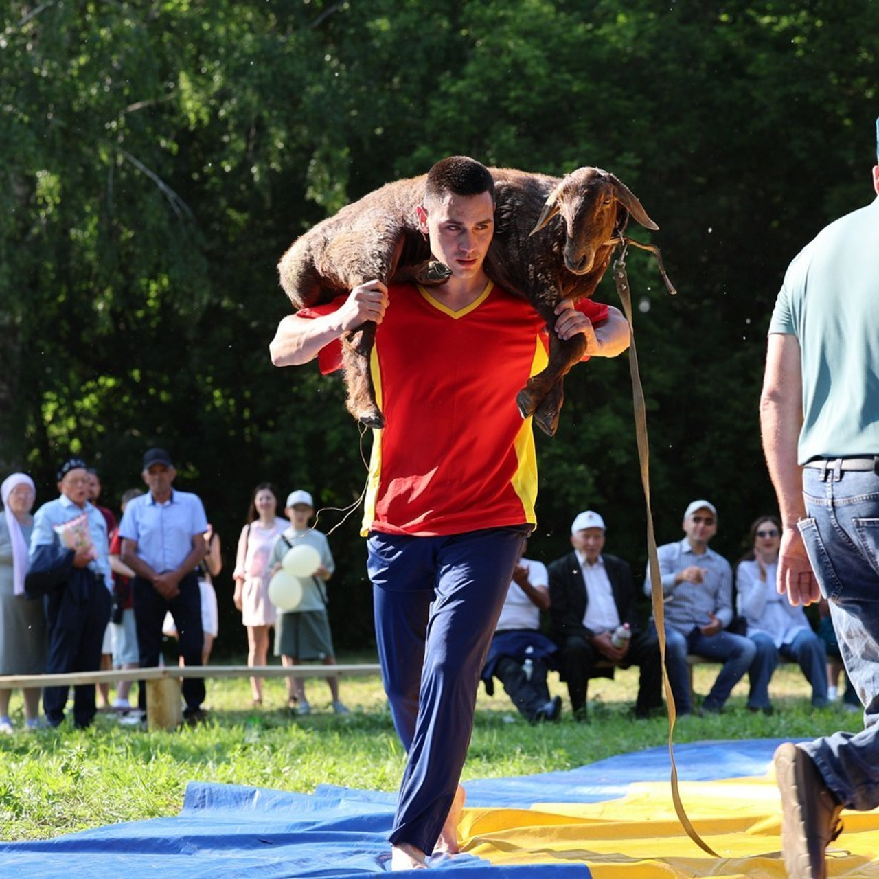 Отзывы. Ikotdusov
