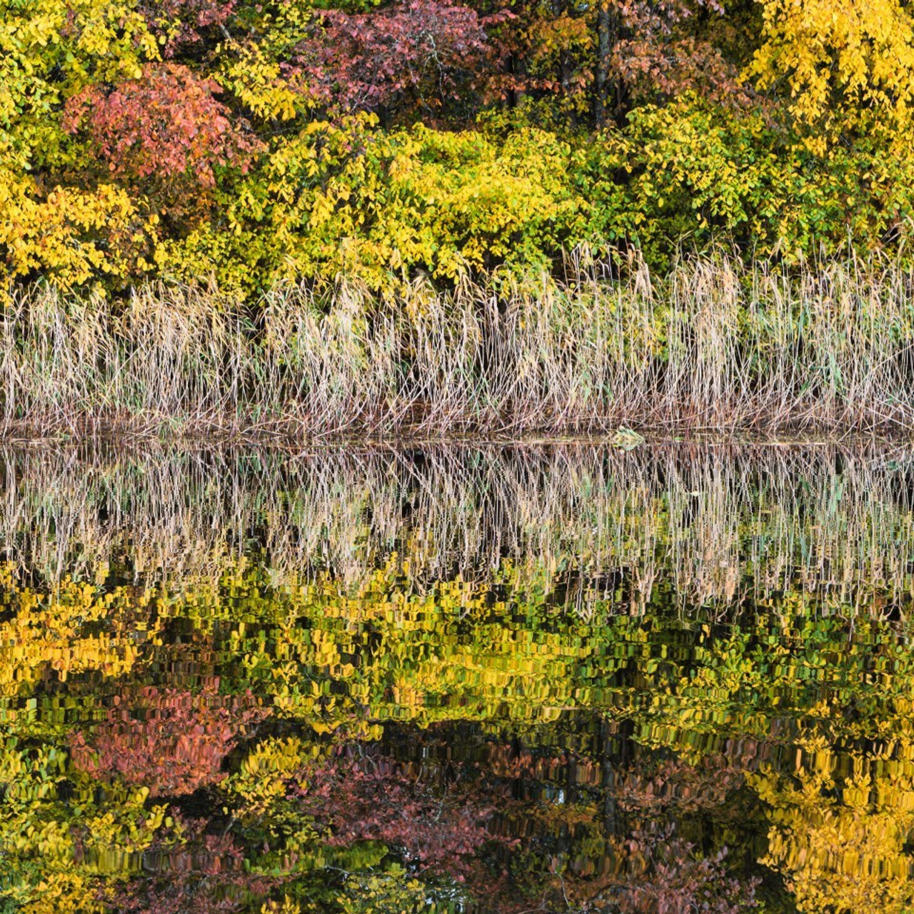 Отзывы. Фотограф Никифоров-Гордеев Сергей. Москва и МО