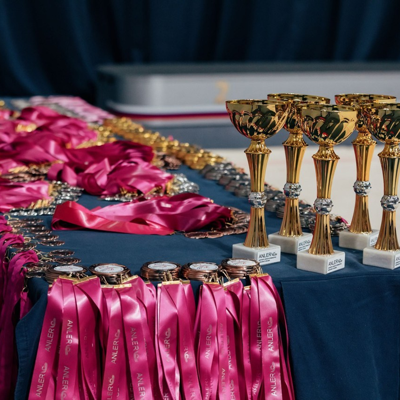 Отзывы. Спортивный фотограф Александр Васильев. RG и AGG