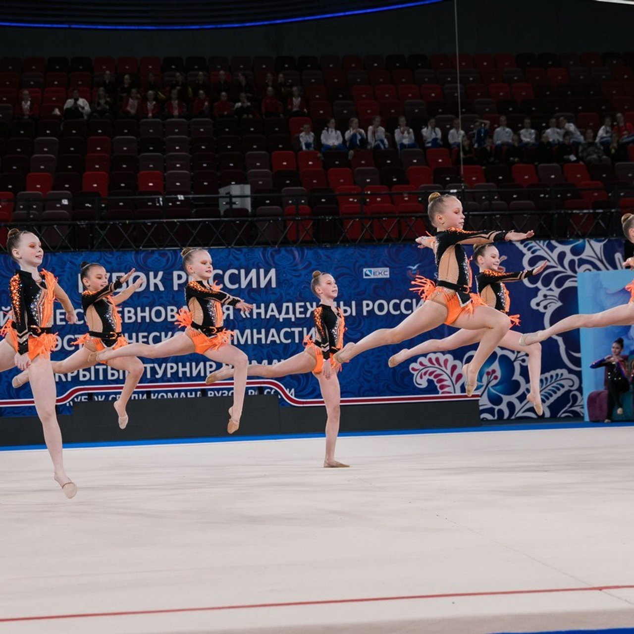 Отзывы. Спортивный фотограф Александр Васильев. RG и AGG