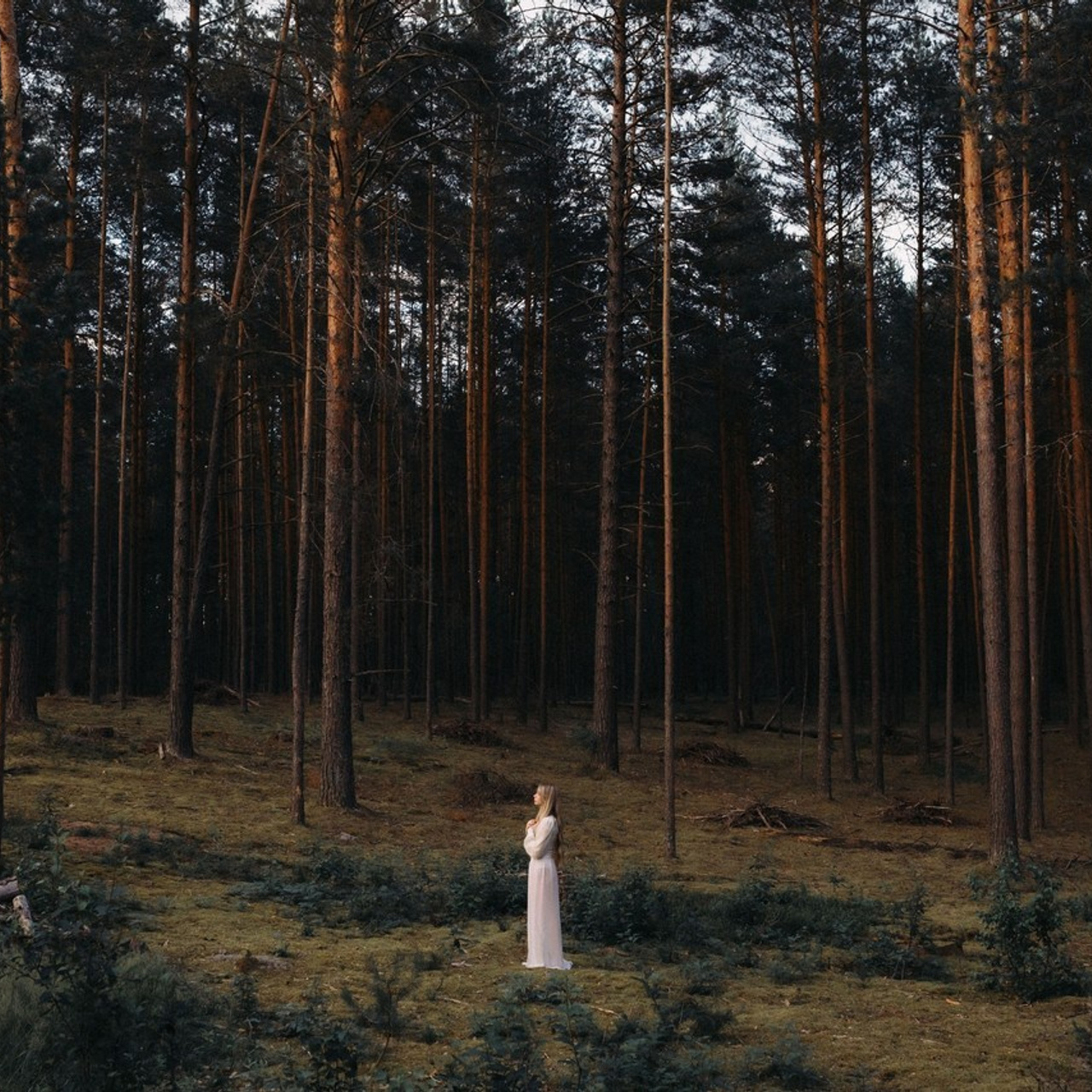 Отзывы. Спортивный фотограф Александр Васильев. RG и AGG