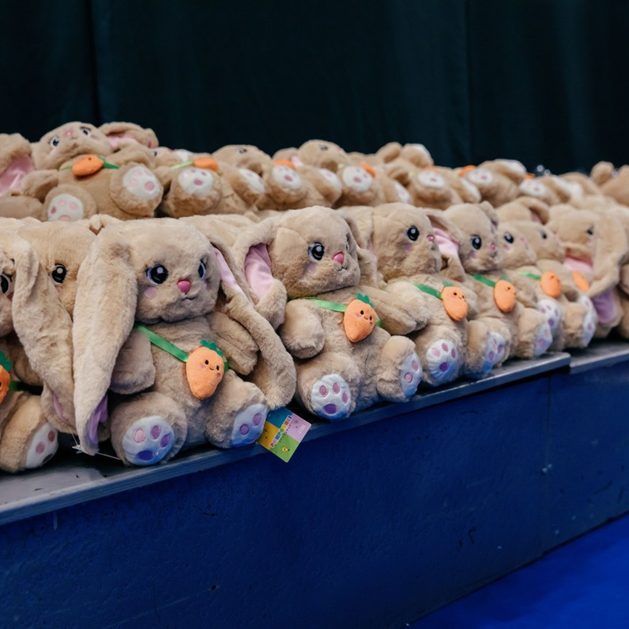 Отзывы. Спортивный фотограф Александр Васильев. RG и AGG