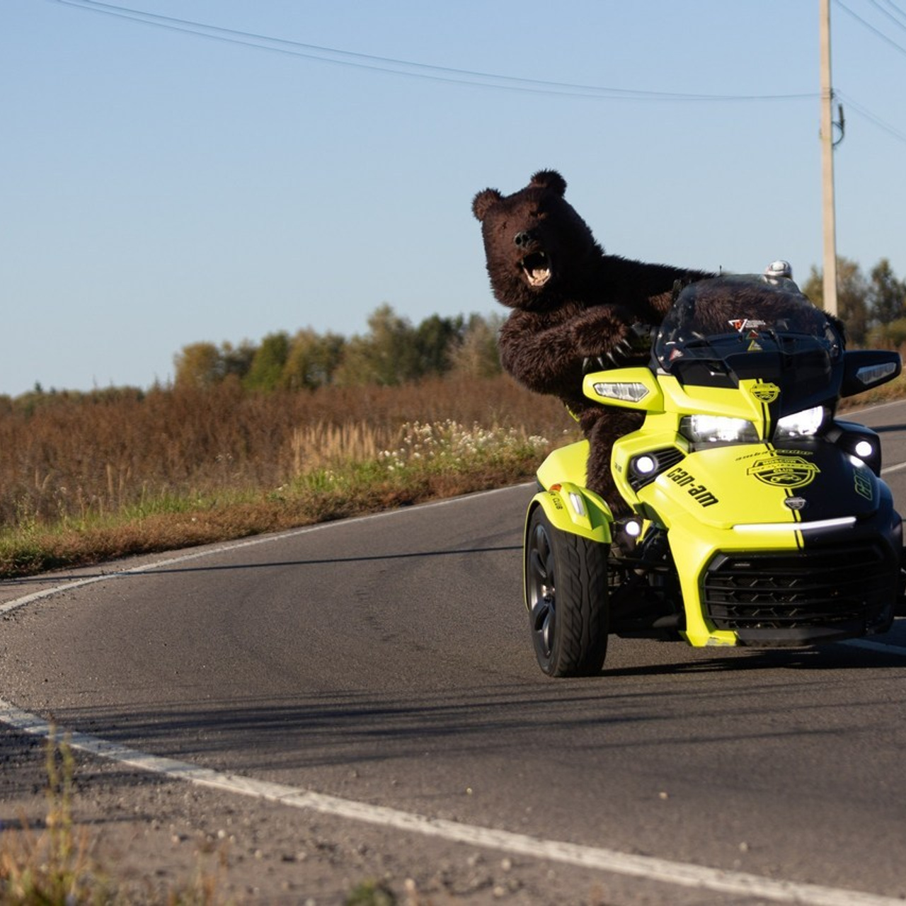 Отзывы. FotoMotoHunterZ — фотографии мотоциклистов на улицах города