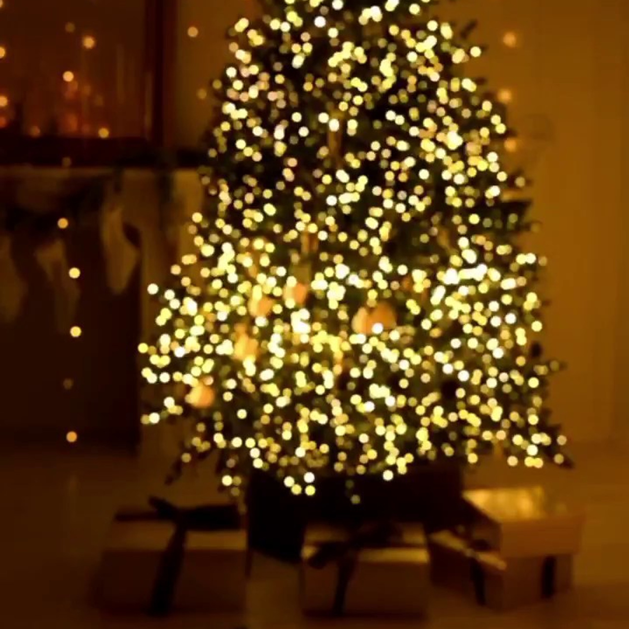 Фотопроект «НОВОГОДНЯЯ СКАЗКА». Фотохудожник Нина Жихарева