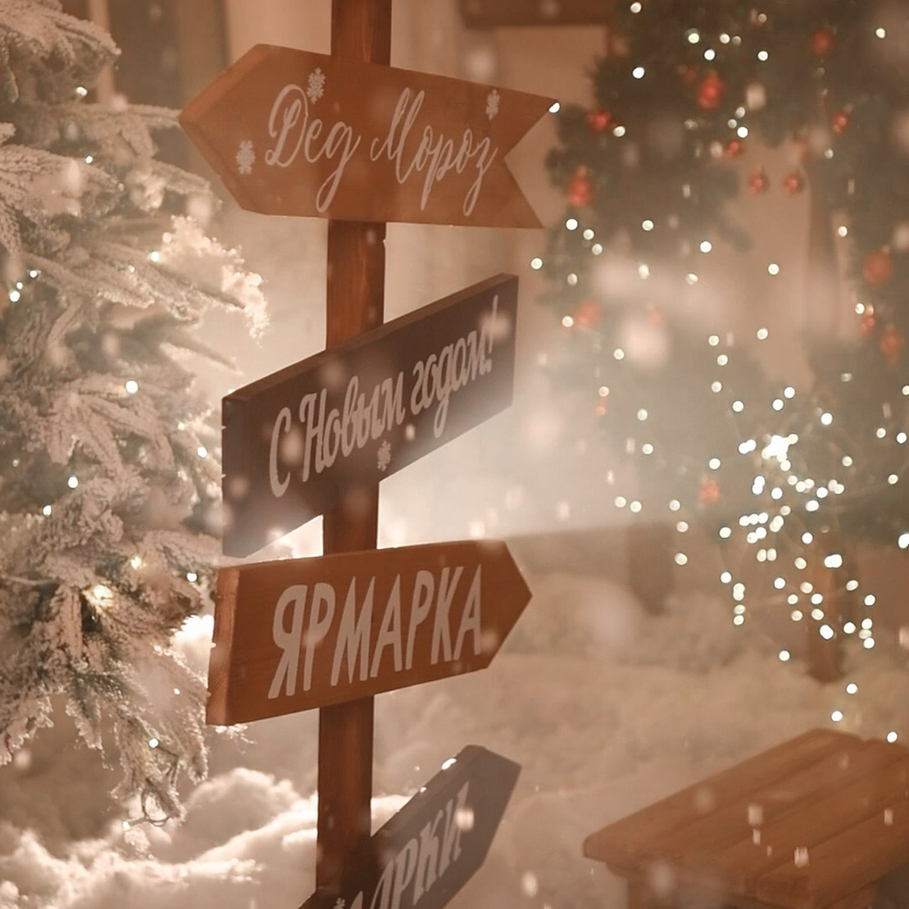 Фотопроект «НОВОГОДНЯЯ СКАЗКА». Фотохудожник Нина Жихарева