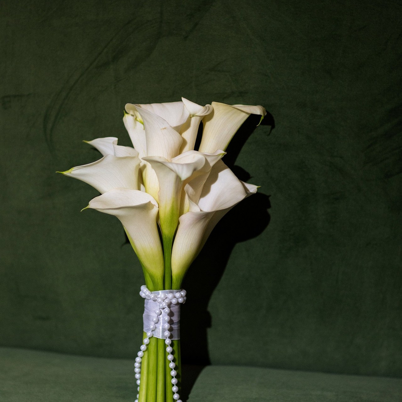 Отзывы. Свадебный и семейный фотограф Татьяна Ласкина в Великом Новгороде