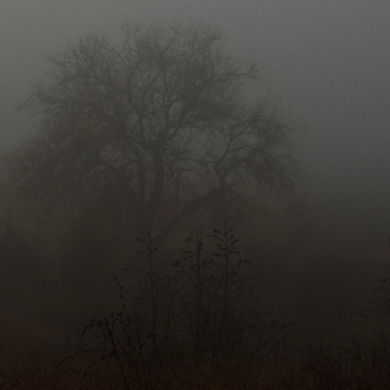 Отзывы от клиентов. Food-фотограф, предметный, семейный, фотограф в Москве, Асеева Яна