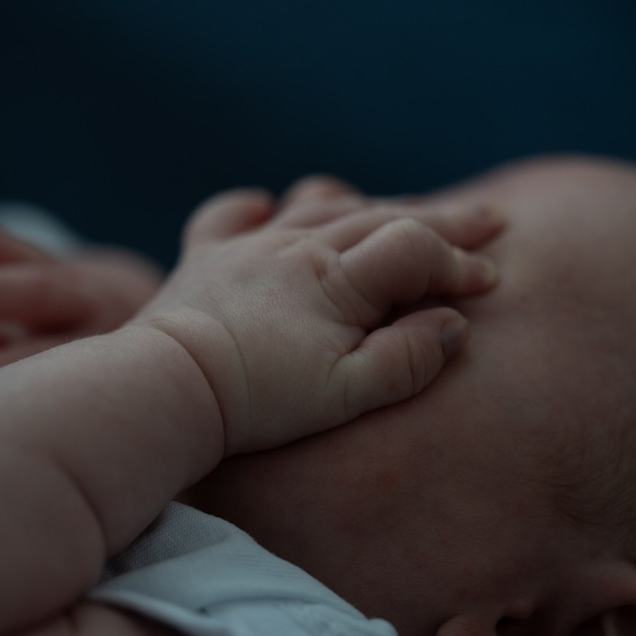 Feedback wedding photographer dubai abu dhabi