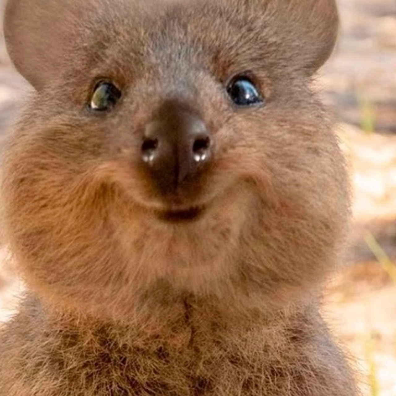 Отзывы. Свадебный и семейный фотограф в Ростове-на-Дону